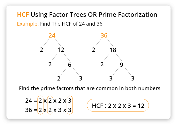 HCF of 20, 25 and 30  How to Find HCF of 20, 25 and 30